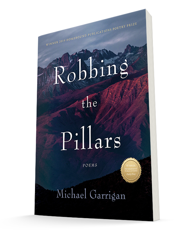 Robbing the Pillars by Michael Garrigan